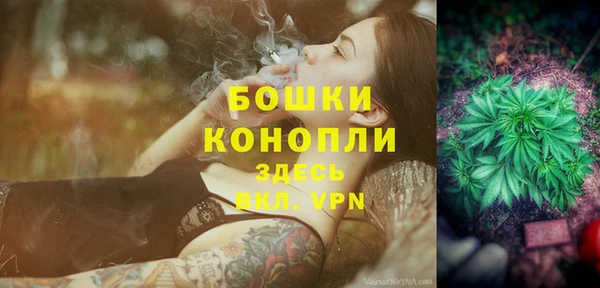 прущие грибы Арсеньев