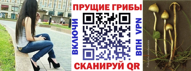 Галлюциногенные грибы ЛСД  Реж 